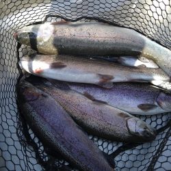 濁りの強さに苦戦